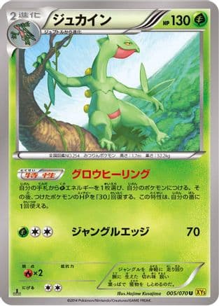 Sceptile - 005/070 (005/070) (Japanese) - XY5Bg Gaia Volcano 1st Edition
