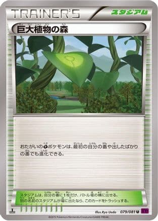 Forest of Giant Plants (079/081) (Japanese) - XY7 Bandit Ring Unlimited