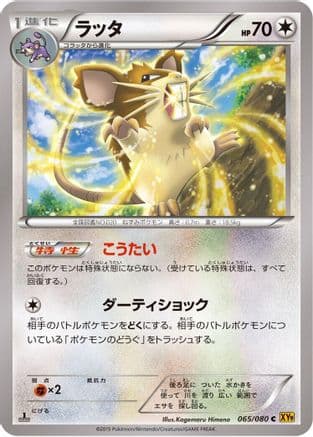 Raticate (065/080) (Japanese) - XY9 Rage of the Broken Heavens 1st Edition