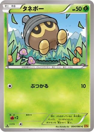 Seedot (004/080) (Japanese) - XY9 Rage of the Broken Heavens