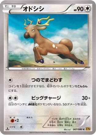Stantler (067/080) (Japanese) - XY9 Rage of the Broken Heavens 1st Edition