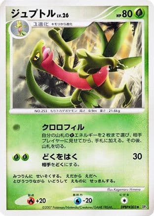 Grovyle  (Japanese) - DP4 Dawn Dash 1st Edition