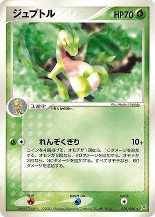 Grovyle (005/080) (Japanese) - Magma VS Aqua Two Ambitions Unlimited