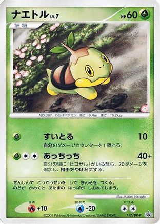 Turtwig - 117/DP-P (117/DP-P) (Japanese) - DPP Promotional cards