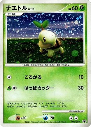Turtwig - 072/DP-P (072/DP-P) (Japanese) - DPP Promotional cards Holofoil