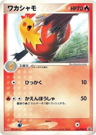 Combusken - 065/PCG-P (065/PCG-P) (Japanese) - PCGP Promotional cards