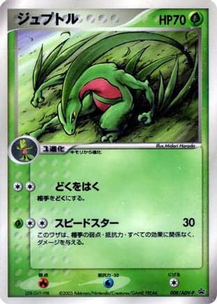 Grovyle - 008/ADV-P (008/ADV-P) (Japanese) - ADVP Promotional cards