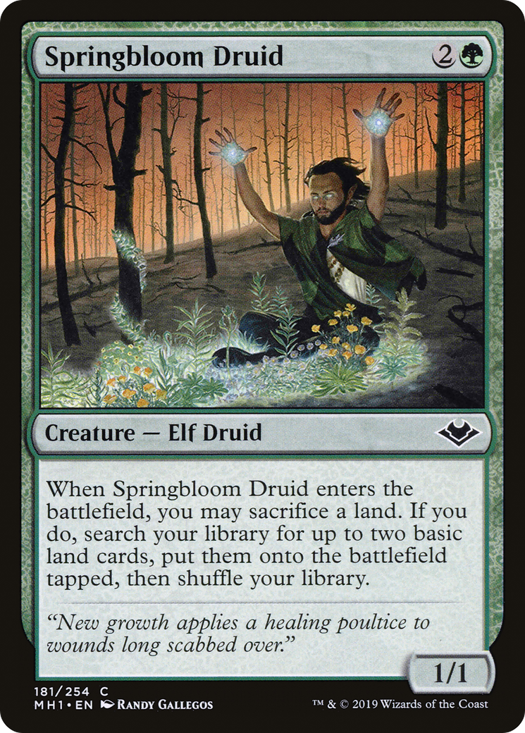 Springbloom Druid [Modern Horizons] Foil