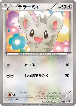 Minccino - 022/BW-P (022/BW-P) (Japanese) - BWP Promotional cards