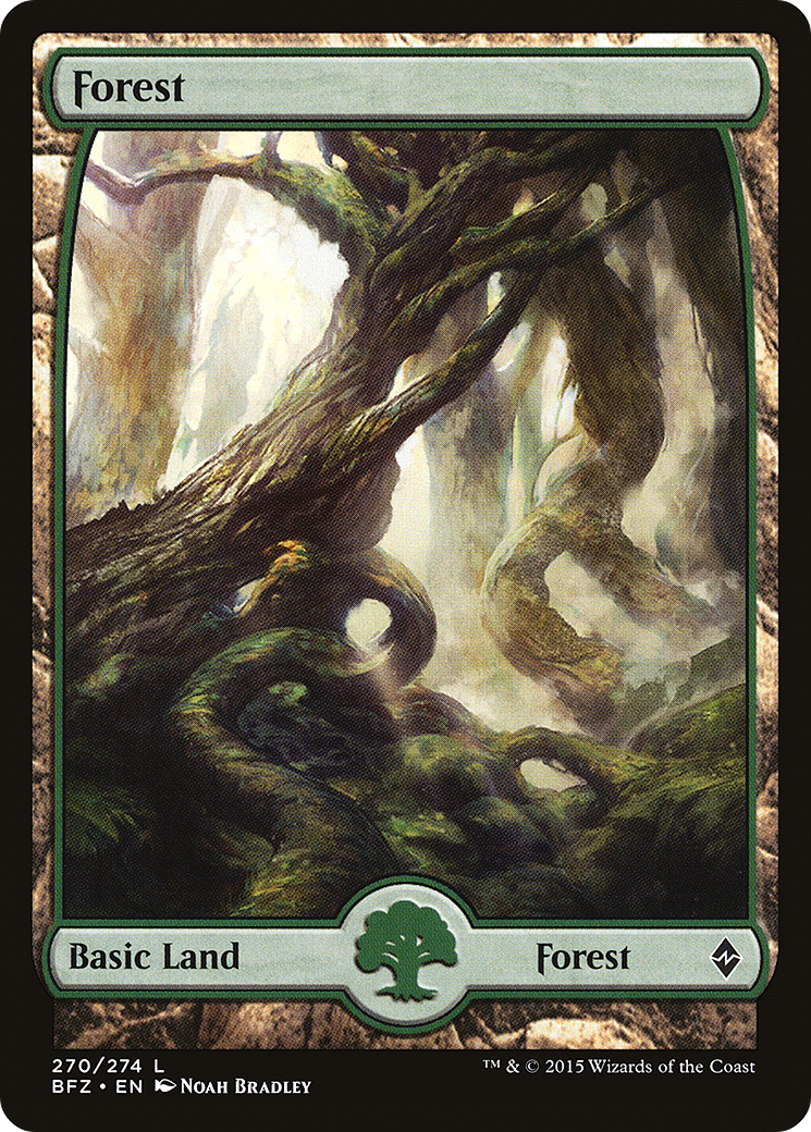 Forest (270) (Full Art) [Battle for Zendikar] Foil