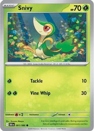 Snivy 001- SV Black Bolt Holofoil