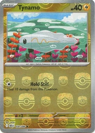 Tynamo (Master Ball Pattern) 030- SV Black Bolt Holofoil