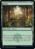 Forest 470 470 (Commander Legends: Battle for Baldur's Gate)  - Foil