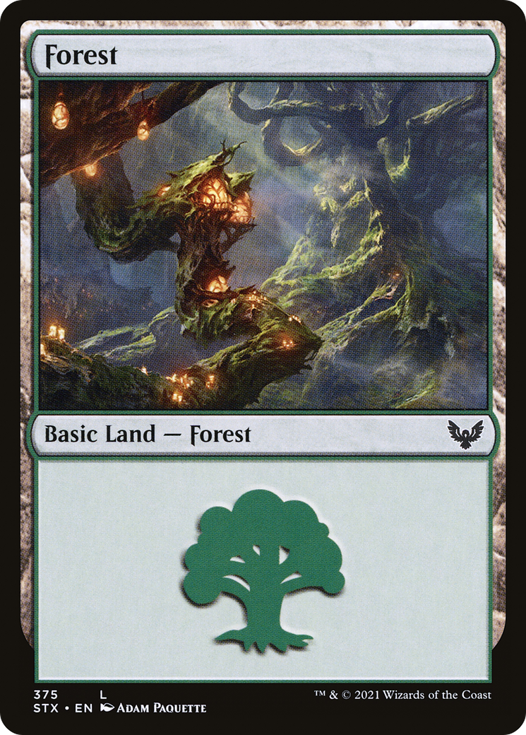 Forest (375) [Strixhaven: School of Mages] Foil