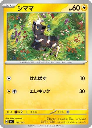 Blitzle - 250/742 (250/742) (Japanese) - Start Deck 100 Battle Collection