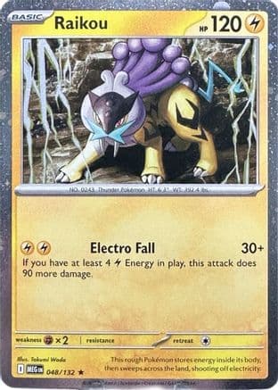 Raikou (Cosmos Holo) 048/132 - Miscellaneous Cards & Products Holofoil