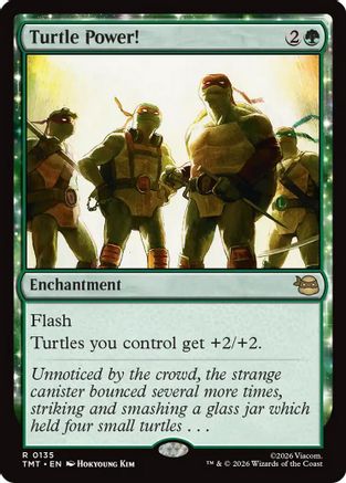 Turtle Power! |  (135) [Teenage Mutant Ninja Turtles]