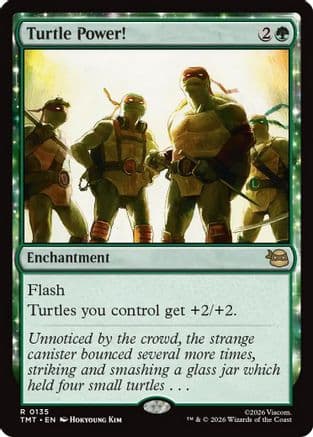 Turtle Power! |  Foil (135) [Teenage Mutant Ninja Turtles]