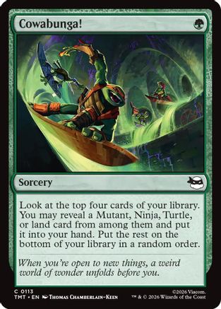 Cowabunga! |  (113) [Teenage Mutant Ninja Turtles]