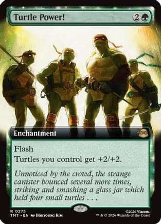 Turtle Power! (Extended Art) |  (275) [Teenage Mutant Ninja Turtles]