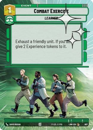 Combat Exercise (Hyperspace Foil) | Foil (667)  [A Lawless Time]