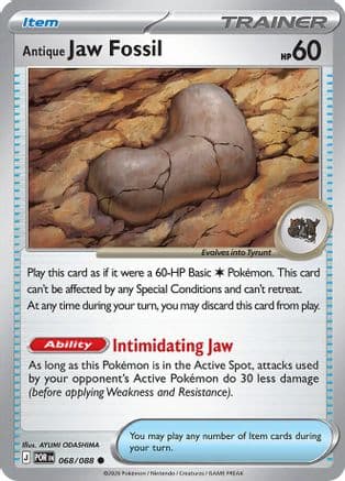 Antique Jaw Fossil 068- ME03 Perfect Order