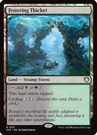 Festering Thicket |  (371) [Commander: Secrets of Strixhaven]