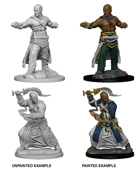 Pathfinder Battles: Deep Cuts Miniatures | Male Human Monk