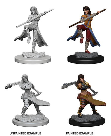 D&D Nolzur's Marvelous Miniatures | Human Monk (Female)