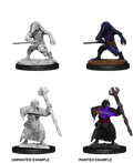 D&D Nolzur's Marvelous Miniatures | Kenku Adventurers