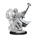 D&D Frameworks Human Wizard Male
