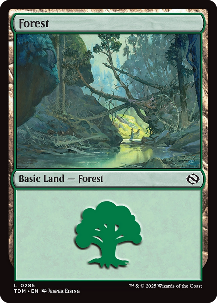 Forest (0285) (285) [Tarkir: Dragonstorm]