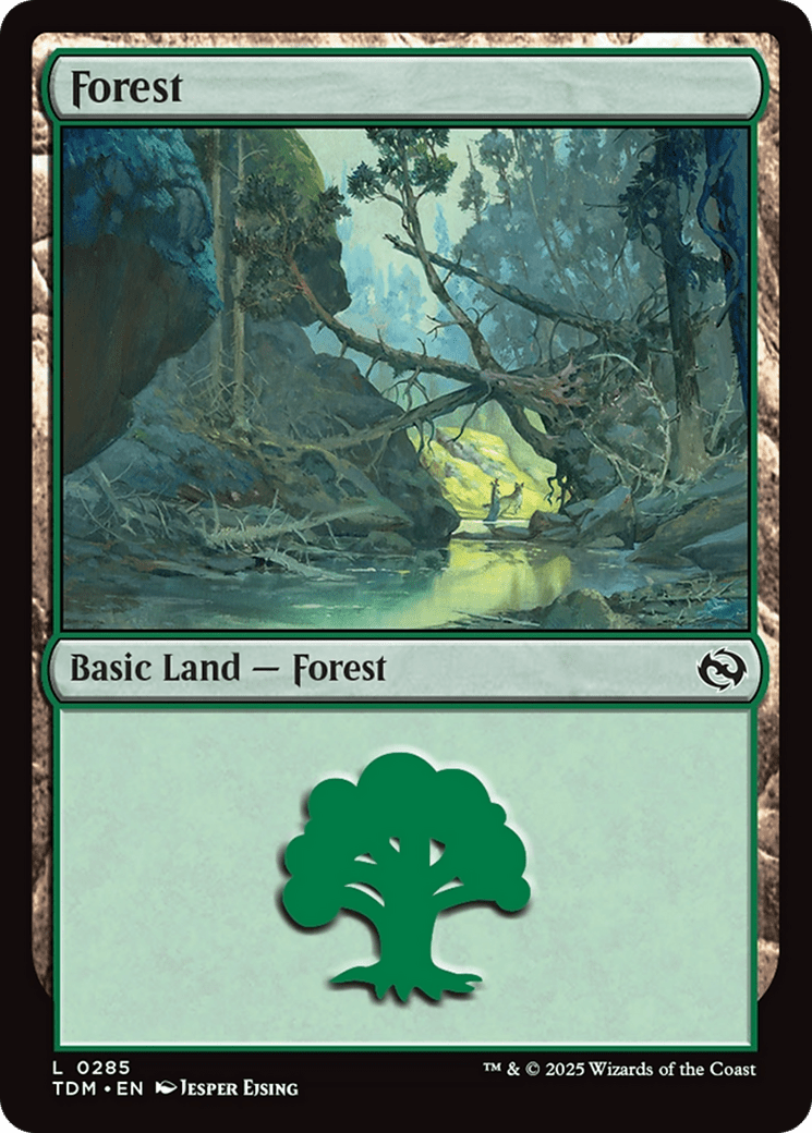 Forest (0285) (285) [Tarkir: Dragonstorm]