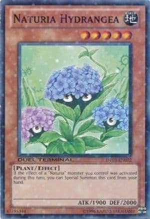 Naturia Hydrangea [DT03-EN072] Common