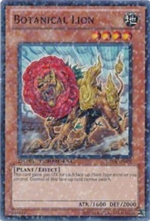 Botanical Lion [DT04-EN009] Common