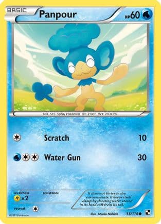 Panpour 33/114 - Black and White Reverse Holofoil
