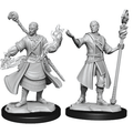 D&D Nolzurs Marvelous Unpainted Miniatures Half-Elf Wizard Male