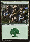 Forest 384 (Zendikar Rising) 