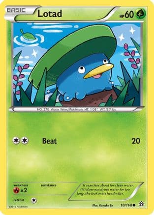 Lotad 010/160 - XY  Primal Clash Reverse Holofoil