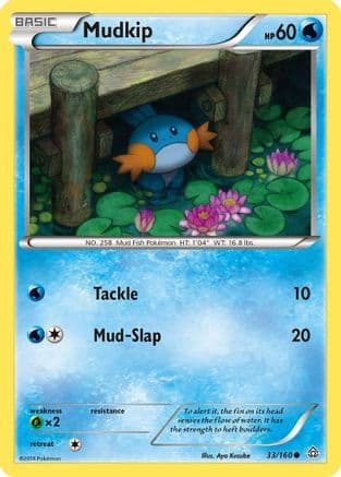 Mudkip 033  - Reverse Holofoil XY  Primal Clash - Common
