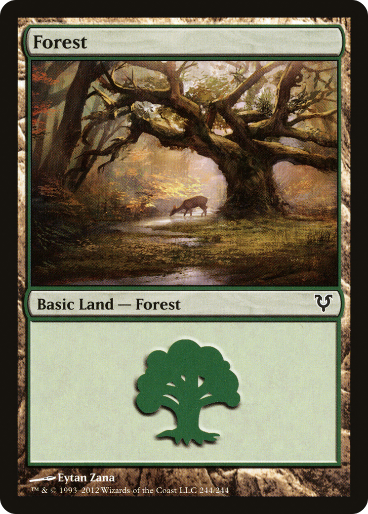Forest (244) [Avacyn Restored] Foil