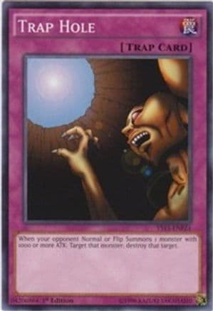 Trap Hole [YS15-ENF24] Common