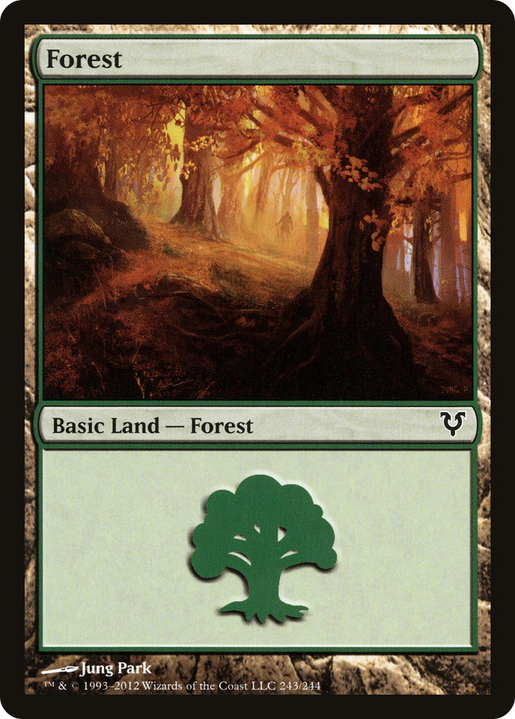 Forest (243) [Avacyn Restored] Foil