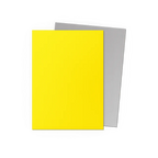 Dragon Shield | Standard Size Sleeves | 100ct | Yellow & Silver (Dual Matte)