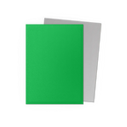 Dragon Shield | Standard Size Sleeves | 100ct | Apple Green & Silver (Dual Matte)