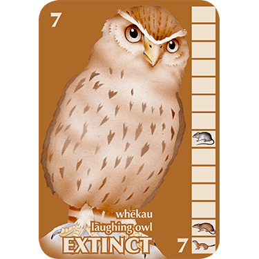 Cloak of Protection | Card Game