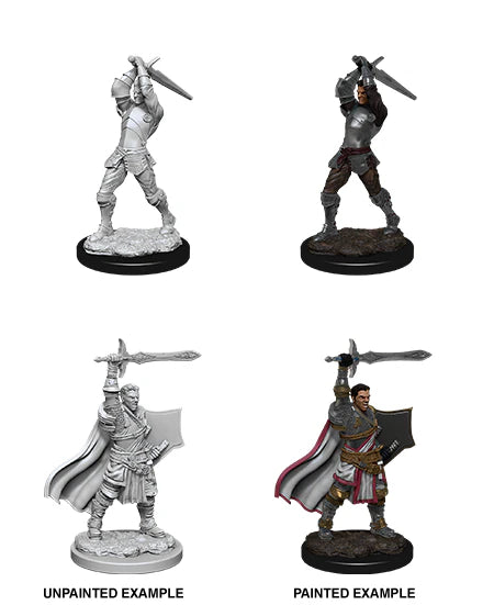 D&D Nolzur's Marvelous Miniatures | Human Paladin (Male)