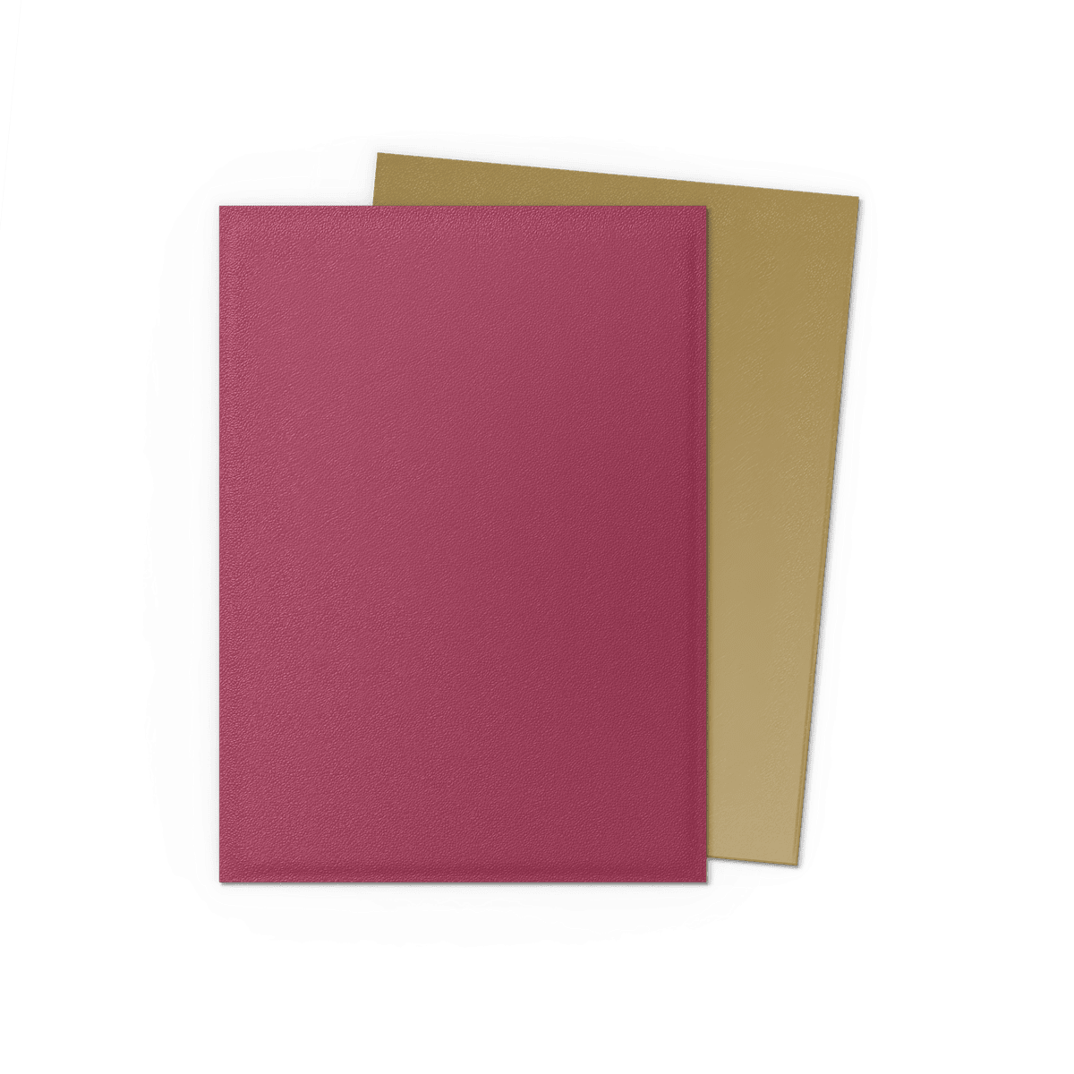 Dragon Shield | Standard Size Sleeves | 100ct | Red/Gold: 25th Anniversary Edition (Dual Matte)