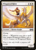 Wingsteed Rider 43/254 (Ultimate Masters) 