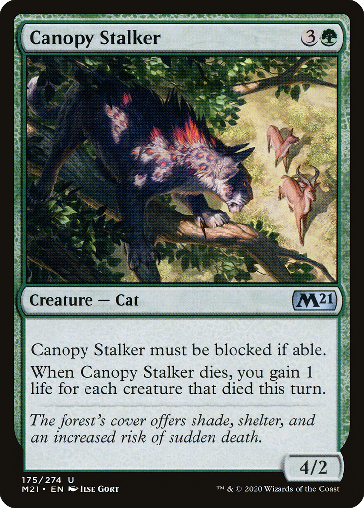 Canopy Stalker [Core Set 2021] Foil